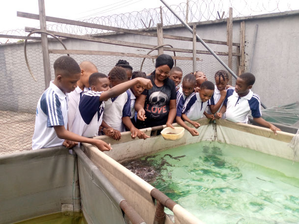 Fish Farm
